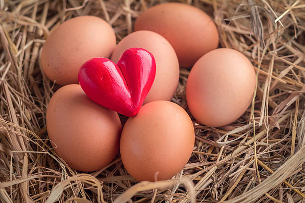 istock healthy food with eggs and heart object 508520520