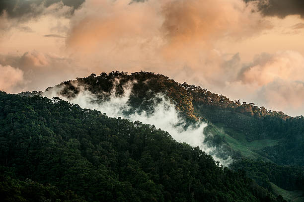 Early morning in clouded mountains