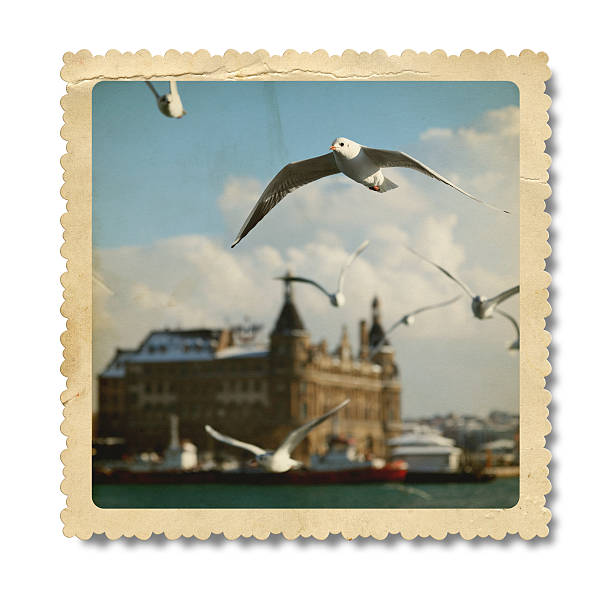 A significant piece of cultural heritage for Turkey and a symbol of Istanbul, the Haydarpaşa Railway Station is like a museum of history with objects from the Ottoman era. It is now closed to long-distance trains. 50 Mp.