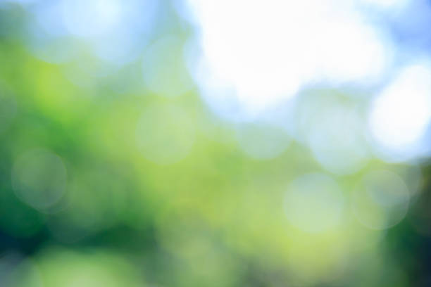 istock Sunny abstract green nature background, selective focus. 508524918