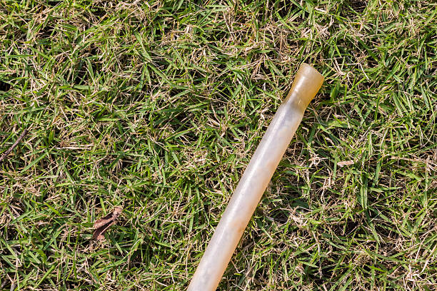 istock fresh green grass on garden 508540394