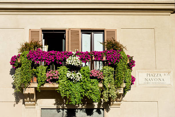 Piazza Navona street sign, white wall and balcony with purple flowers at sunrise. Location Rome, Italy.