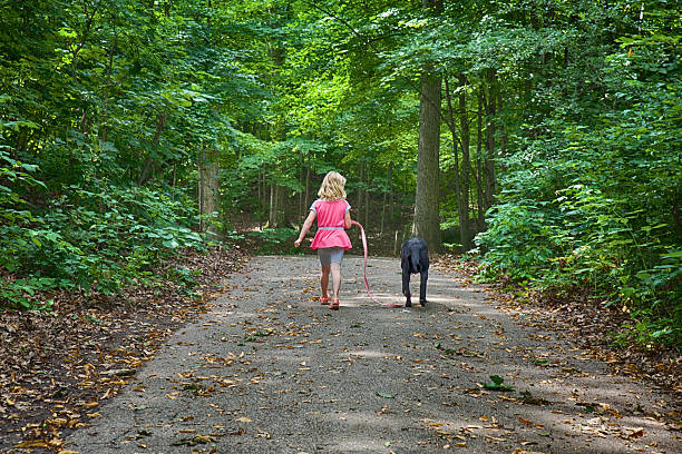 HDR picture of a little girl walking her black labrador retriever.