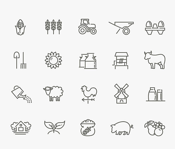 ilustrações de stock, clip art, desenhos animados e ícones de agricultura e criação de ícones - lamb young animal sheep livestock