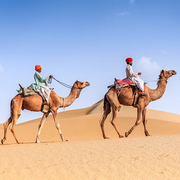 Indian men riding camels on sand dunes, Rajasthan, India Indian men riding camels on sand dunes, Rajasthan, India thar desert stock pictures, royalty-free photos & images