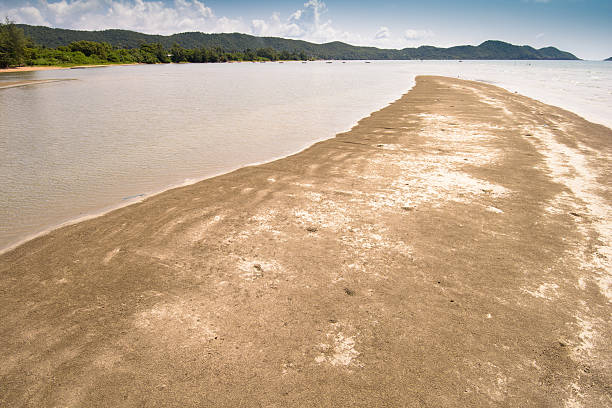 istock Tropical sand crabs showing ball like patterns left on beach 508547490