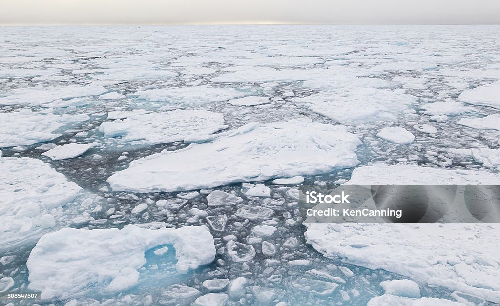 Arctic Pack Ice Pack ice in the Arctic Ocean Pack Ice Stock Photo