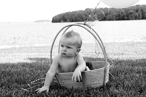 istock baby boy in basket 508547595