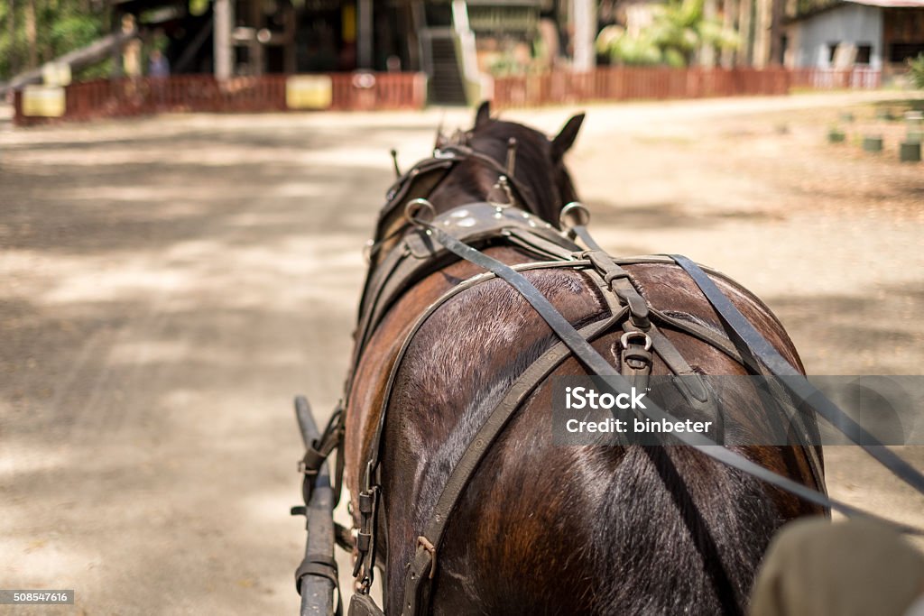 Foto de Cavalo Na Frente De O Transporte e mais fotos de stock de Animal -  Animal, Antiguidade, Carroça - iStock