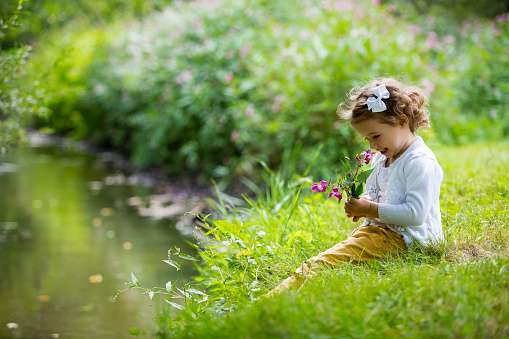 Cute curly toddler girl enjoying the nature while sitting on the meadow. Happy toddler girl sitting on a meadow with blooming cherry trees .