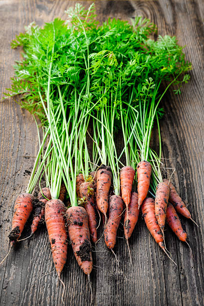 istock Fresh carrots from garden 508548349