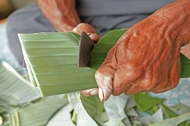 istock Old man hand cutting the  banan leaf 508549095