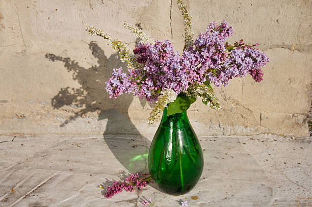 istock still life bouque with lilac 508549671