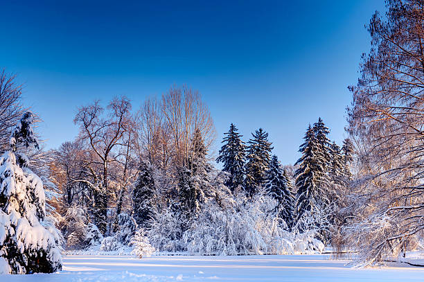 istock Cloudless And Cold Winter Day In The Park 508549924