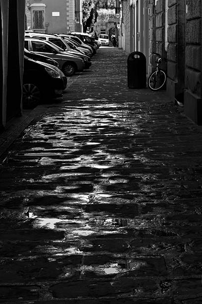 istock Street in Florence 508550261