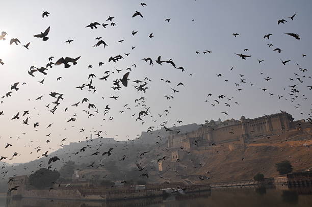 istock Amer Fort, Jaipur, Rajasthan, India 508550356