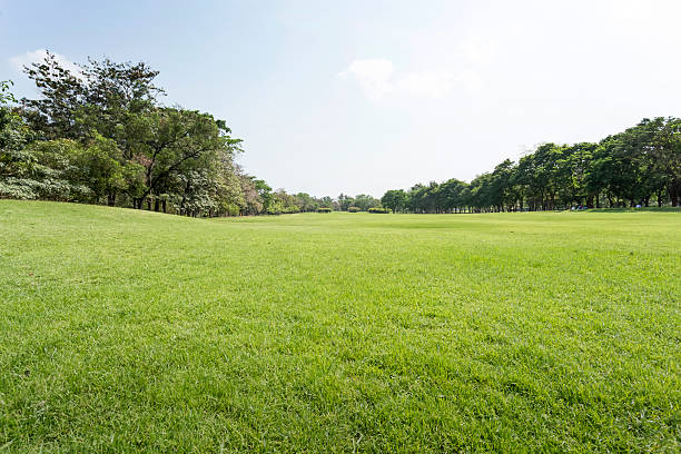 istock Green park and sky 508550858