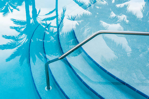 Reflection of palm trees over swimming pool with curved steps.