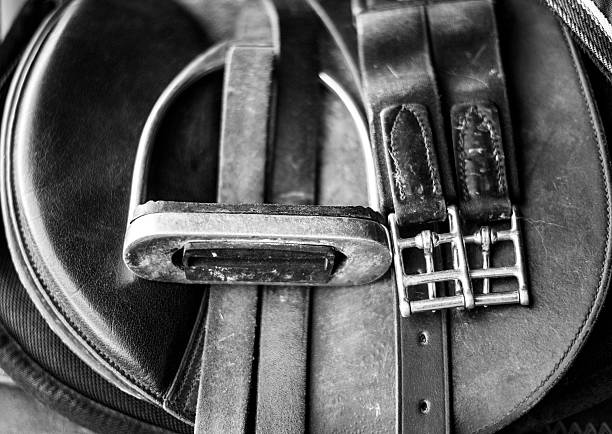 ホースタックのクローズアップ - horse cutting competition ストックフォトと画像