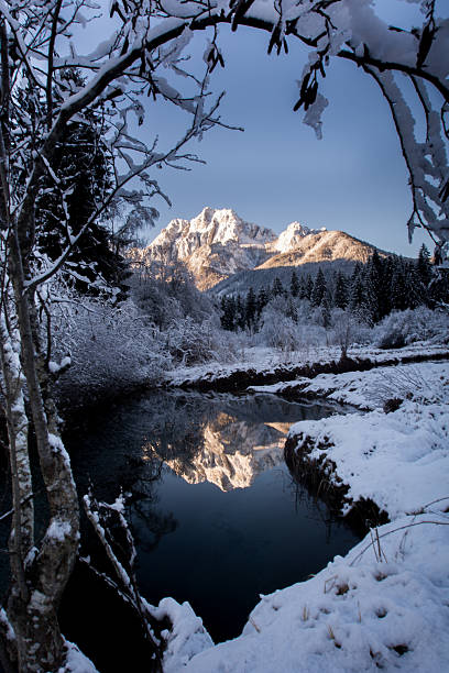 istock Winter morning on the lake 508554334