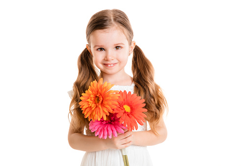 little girl with flowers(isolated on white background, isolated)