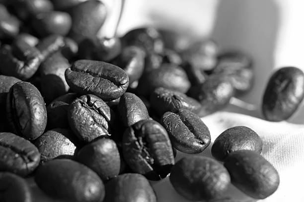 istock Coffee beans in black and white 508577254
