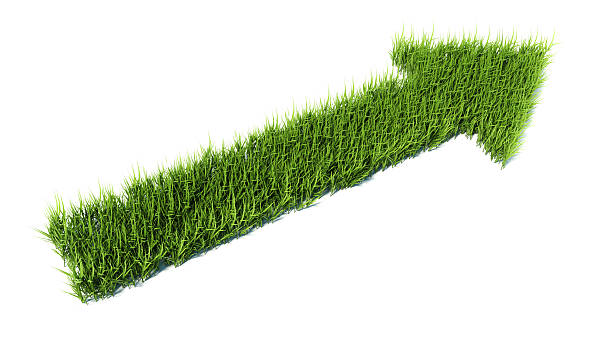 istock 3d arrow made of grass 508577435