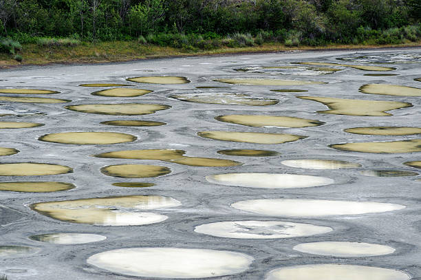 Spotted Lake close view in Okanagan valley stock photo