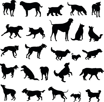 A vector silhouette illustration of several types of dog breeds in many poses including running jumping, sitting, begging, and standing.