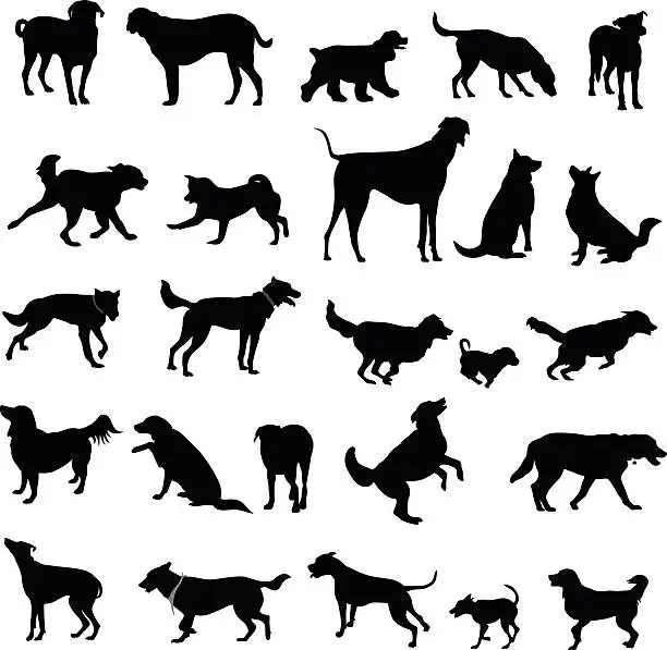 Vector illustration of Large Collection Of Dog Silhouettes