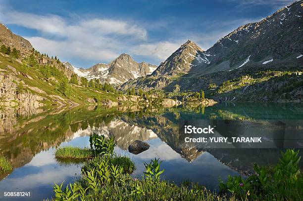 Lago Mountain - Fotografie stock e altre immagini di Acqua - Acqua, Albero, Ambientazione esterna