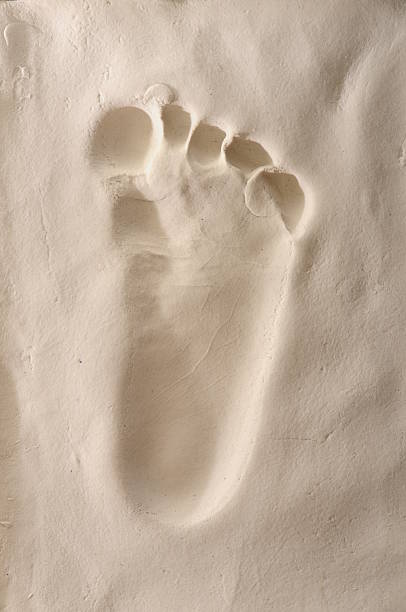 istock Baby foot on plaster 508581636