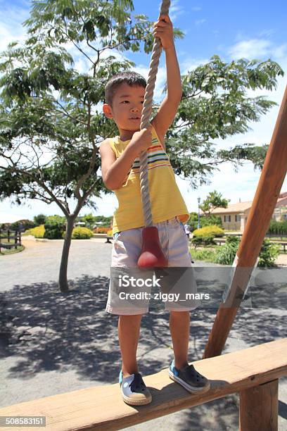 Japanese Boy Playing With Tarzan Rope Stock Photo - Download Image Now - 2-3 Years, Adult, Boys