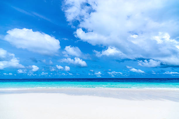 istock beautiful beach and tropical sea 508583181