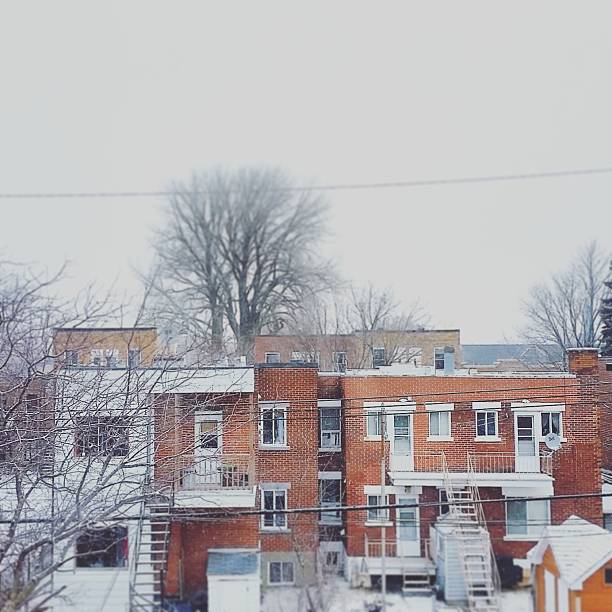 istock Brick Buildings in Winter Rosemont Montreal Quebec Canada 508583814