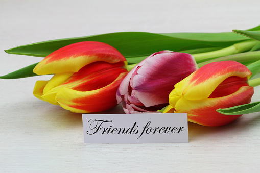 Friends forever card with colorful tulips