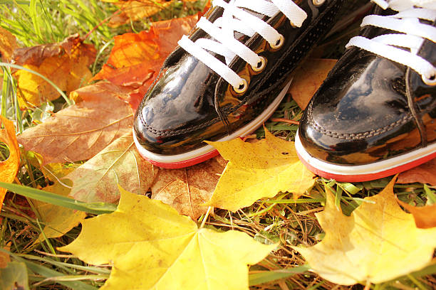 istock boots and autumn leaves 508586748