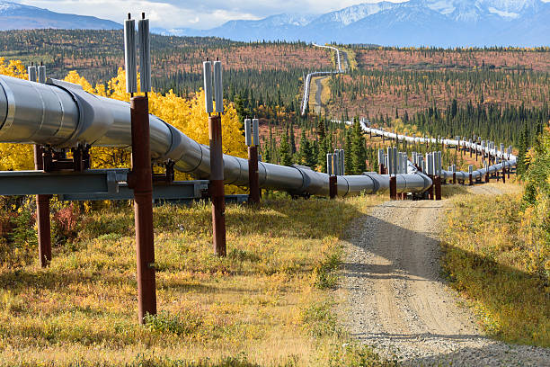 Trans Alaska Pipeline with Autumn Colors stock photo