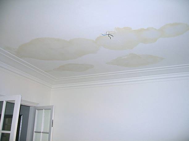 LEAK AND DOOR Ceiling leak and electric cables. ceiling stock pictures, royalty-free photos & images