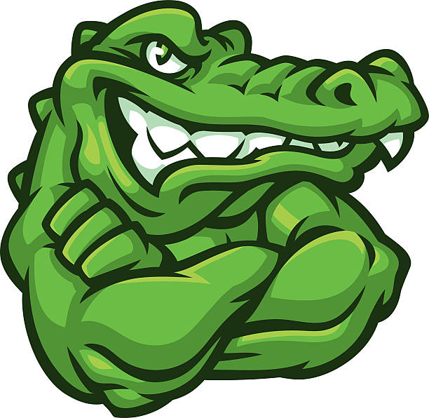 Tough Gator This tough Gator is ready to rumble. Great for any school or sport based design. animal muscle stock illustrations