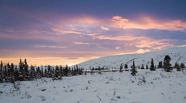 kuvapankkikuvat ja rojaltivapaat kuvat aiheesta trans alaska -putki lumessa auringonlaskun aikaan - deadhorse alaska