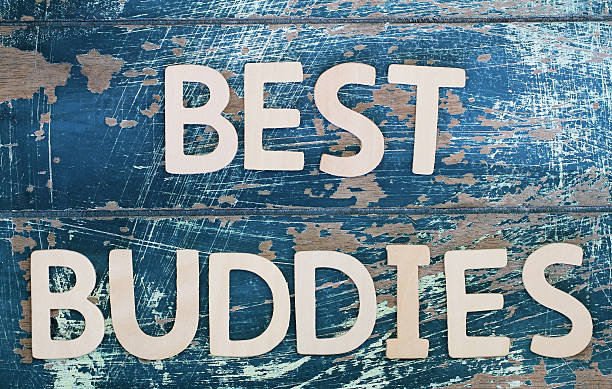 istock Best buddies written with wooden letters on rustic surface 508591118