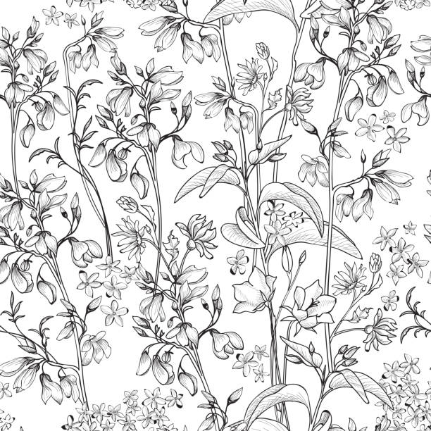 illustrations, cliparts, dessins animés et icônes de floral motif uniforme. fleur gravé fond blanc et noir. - campanula bluebell backgrounds white