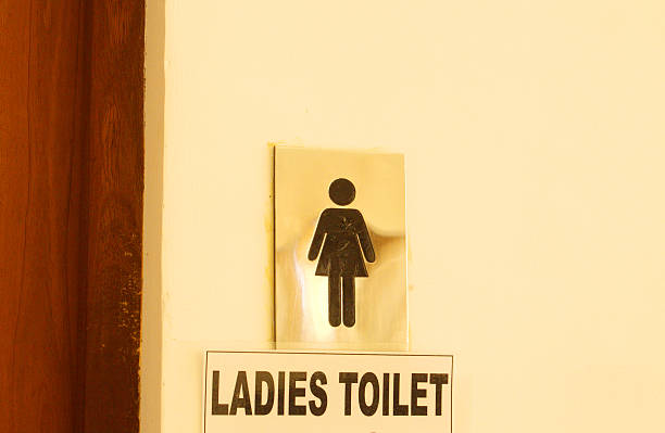 istock Ladies toilet symbol 508592346