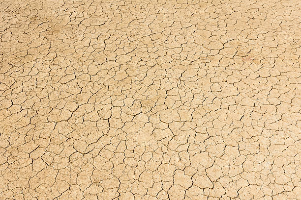 istock Dry land. Cracked ground background. 508592784