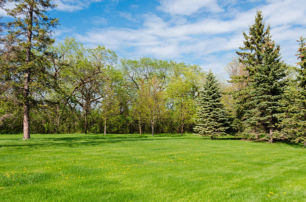 istock wonderful sunny day in park, spring time 508592984
