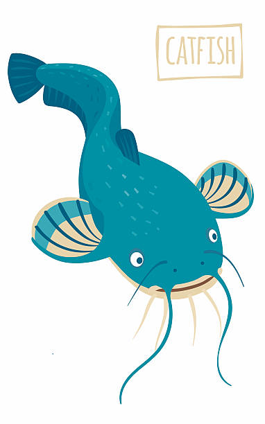 Catfish Catfish, vector cartoon illustration catfish stock illustrations
