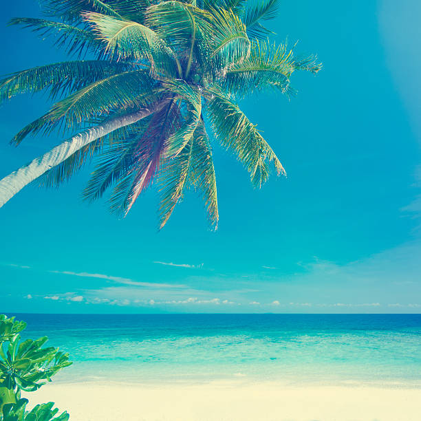 istock Vintage style summer sea 508605315