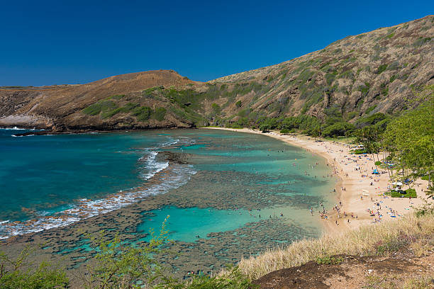 baía de hanauma - hanauma bay hawaii islands oahu bay - fotografias e filmes do acervo