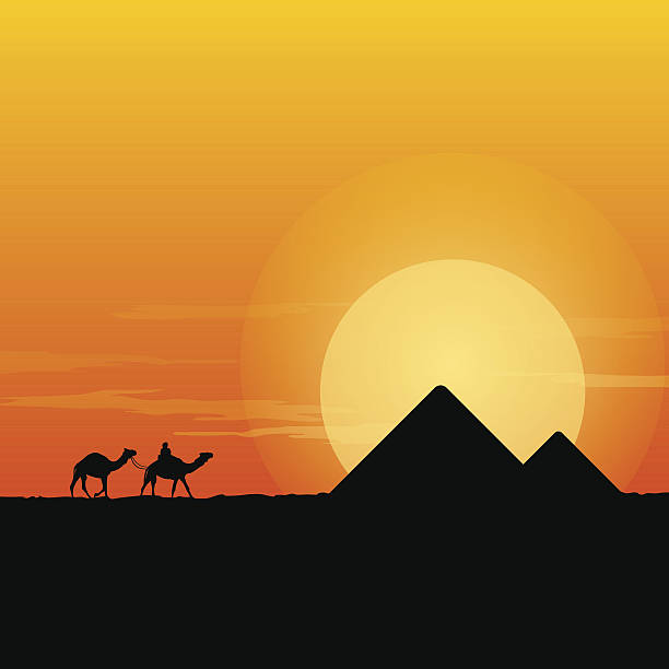 illustrazioni stock, clip art, cartoni animati e icone di tendenza di cammello caravan e piramide - egypt cairo pyramid sunset